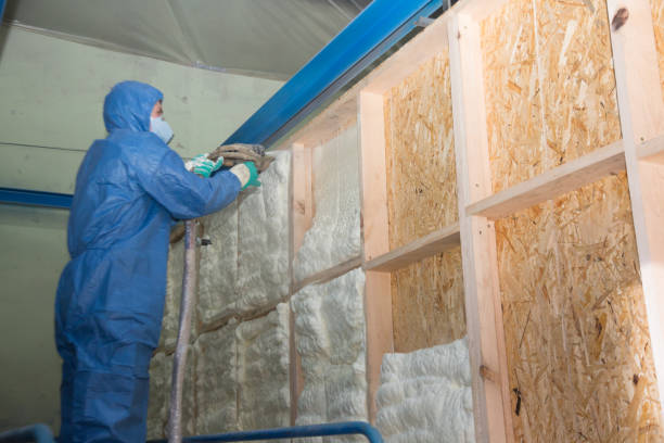 Best Attic Insulation Installation  in Eloy, AZ